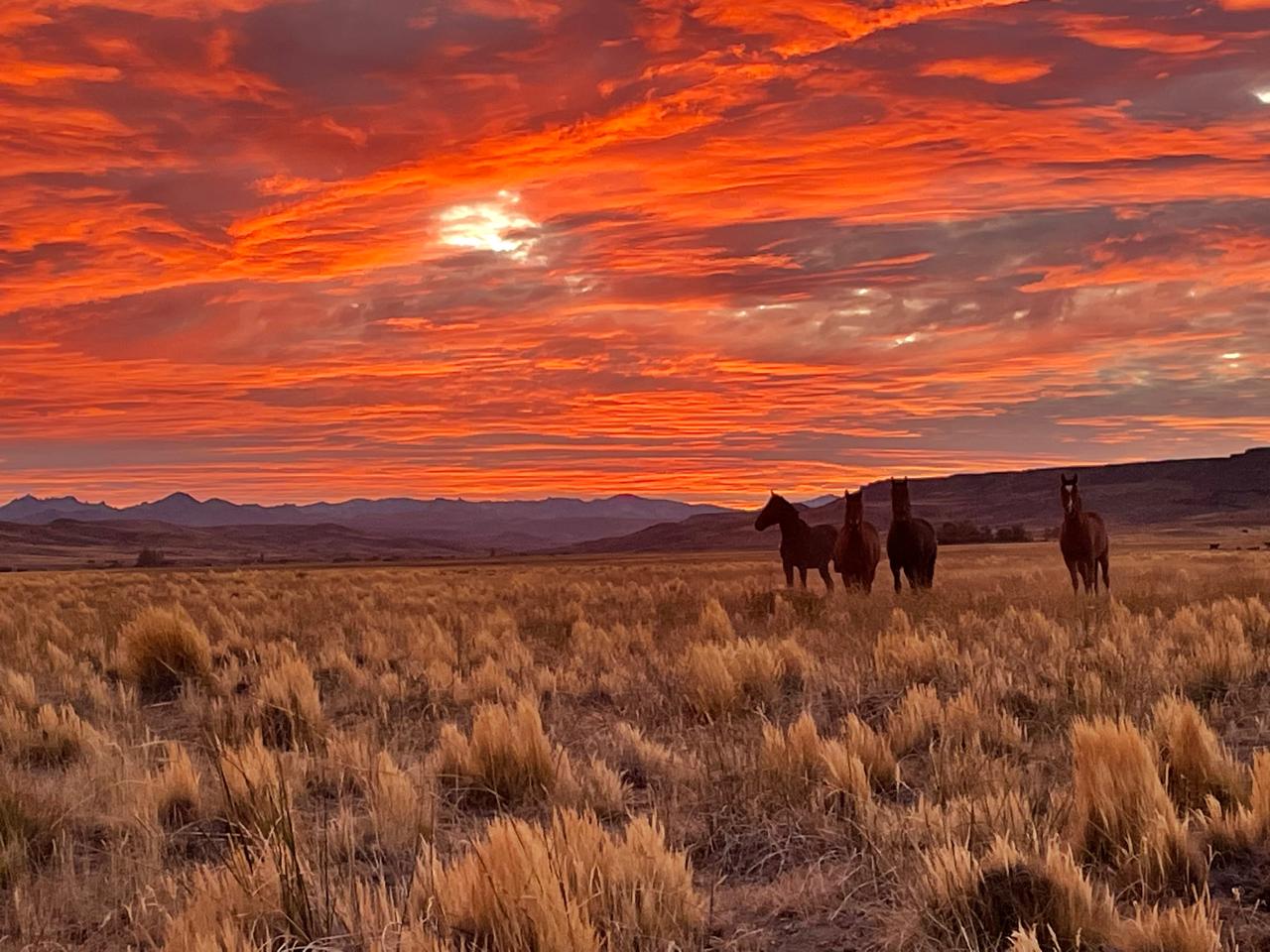 Paisajes de la Patagonia
